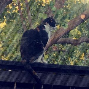 Meet your Posher, Breanna